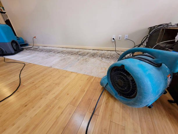 Professional Water Removal technician working in Albin, WY